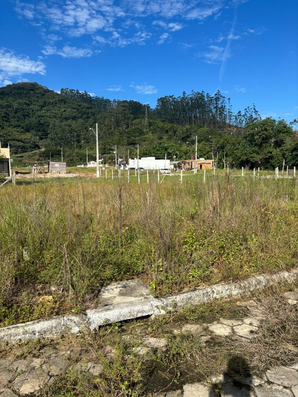 Terreno com 240,00m no bairro Ilhotinha — foto 3