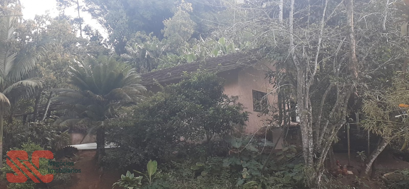 Sítio no bairro Arapongas - foto 1