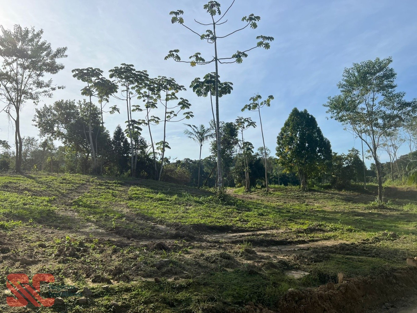 Sítio Fundos para o Rio — foto 6