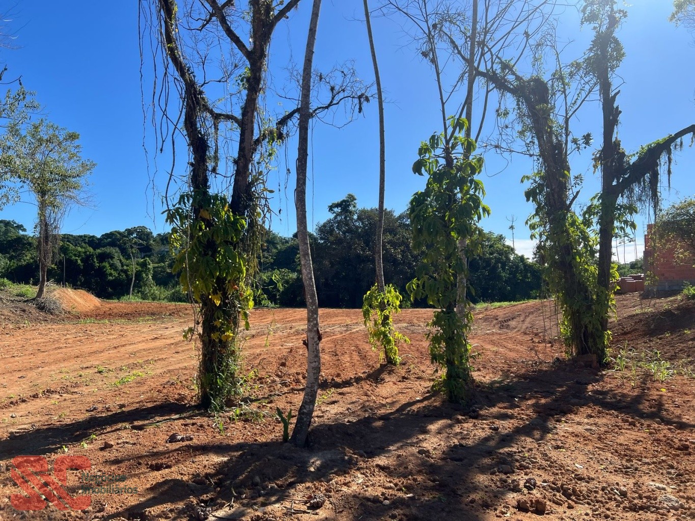 Sítio Fundos para o Rio — foto 2