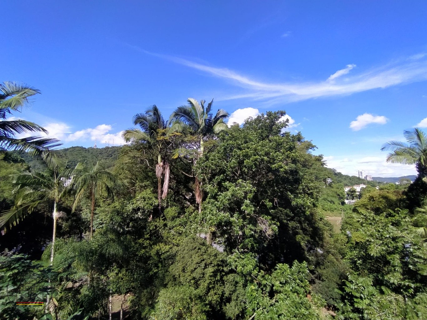 Linda Casa em Região Privilegiada, Pertinho do Centro — foto 3