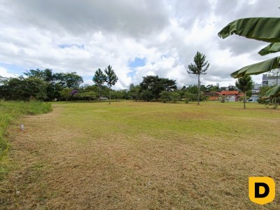 Lote/Terreno no bairro Tapajós