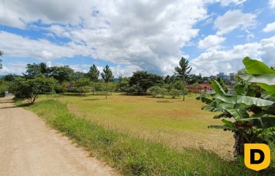 Lote/Terreno no bairro Tapajós