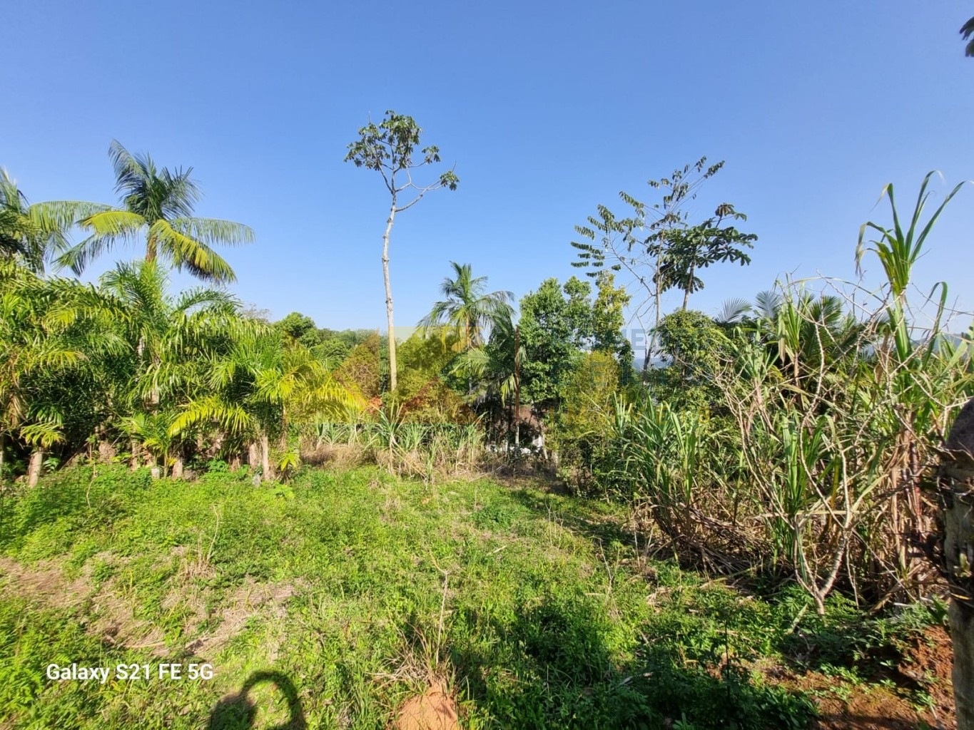 Ótimo terreno a venda Bairro Badenfurt — foto 7