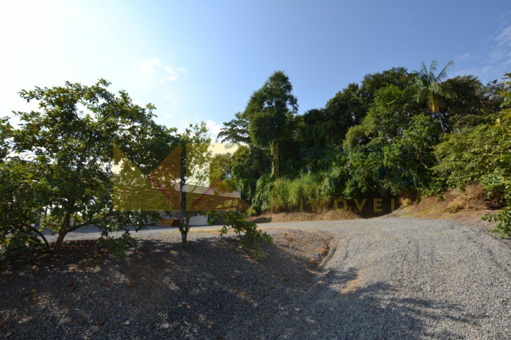 Terreno à Venda no Bairro Velha. — foto 3