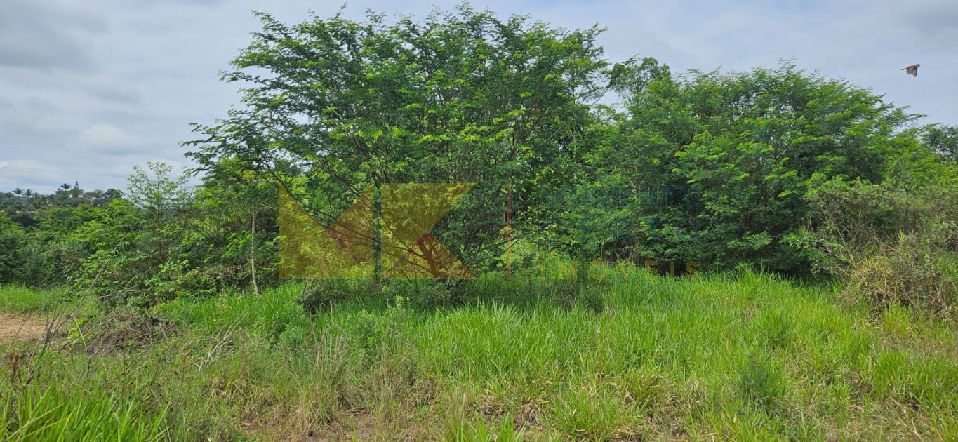 Terrenos a venda bairro Belchior Baixo - Gaspar — foto 7