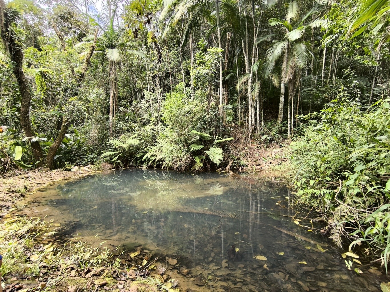 Seu refúgio dos sonhos em Pomerode! — foto 3