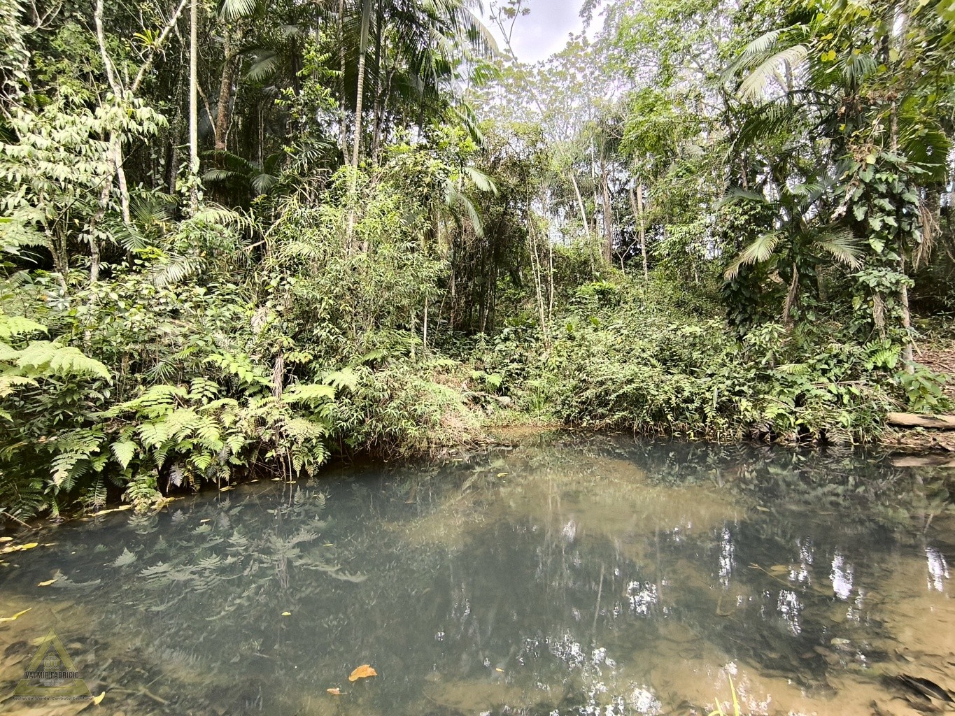 Seu refúgio dos sonhos em Pomerode! - foto 1