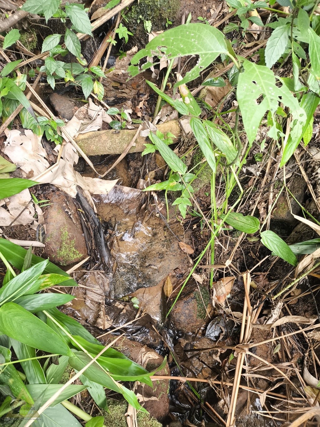 Seu refúgio dos sonhos em Pomerode! — foto 5