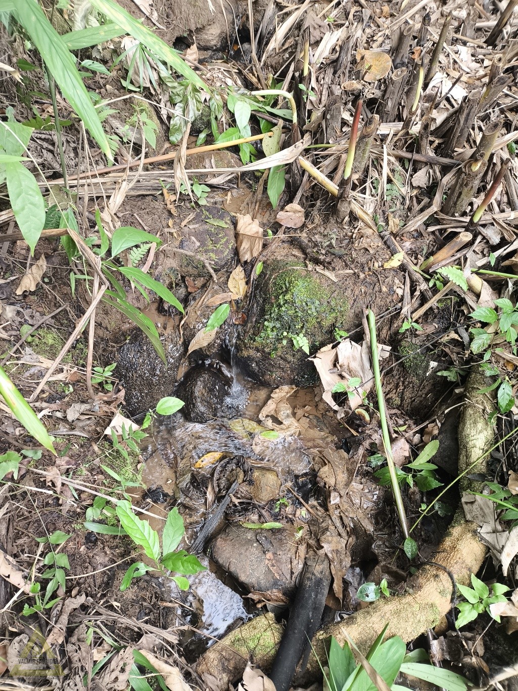 Seu refúgio dos sonhos em Pomerode! — foto 4