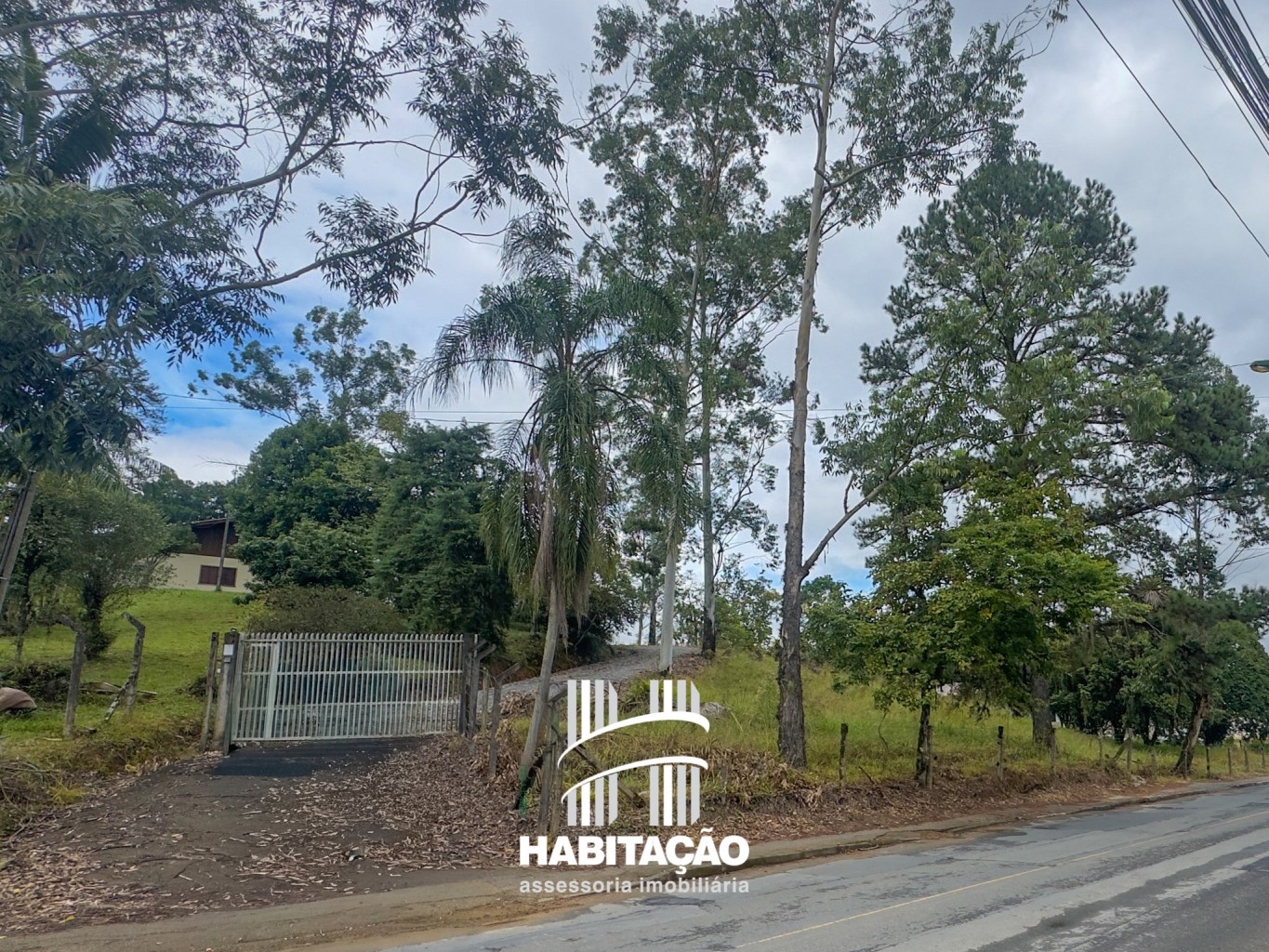 Terreno com 11.232 m | Zoneamento ZR4 | Excelente potencial construtivo - foto 1