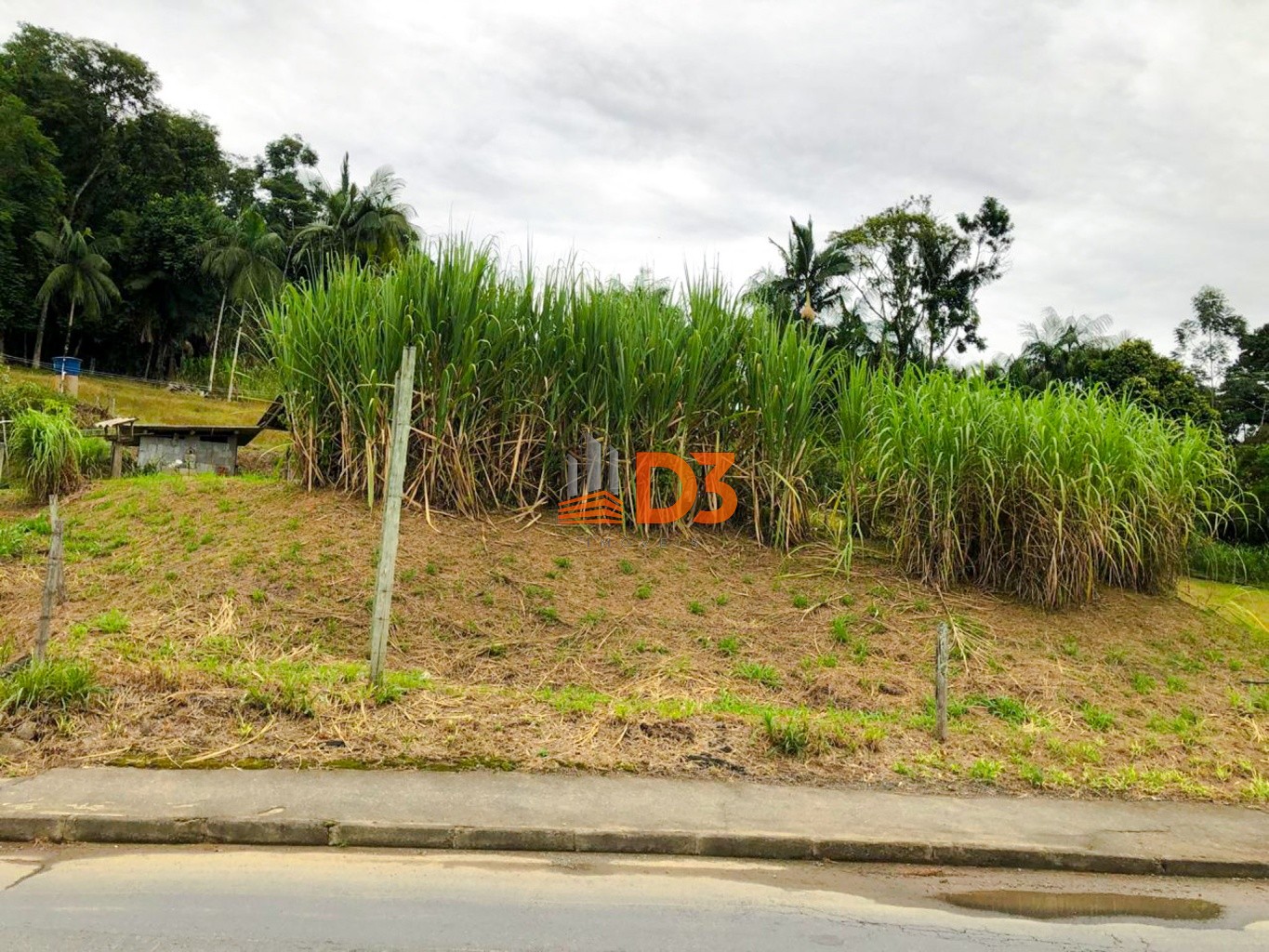 Terreno comercial, industrial e residencial no Fidélis — foto 3