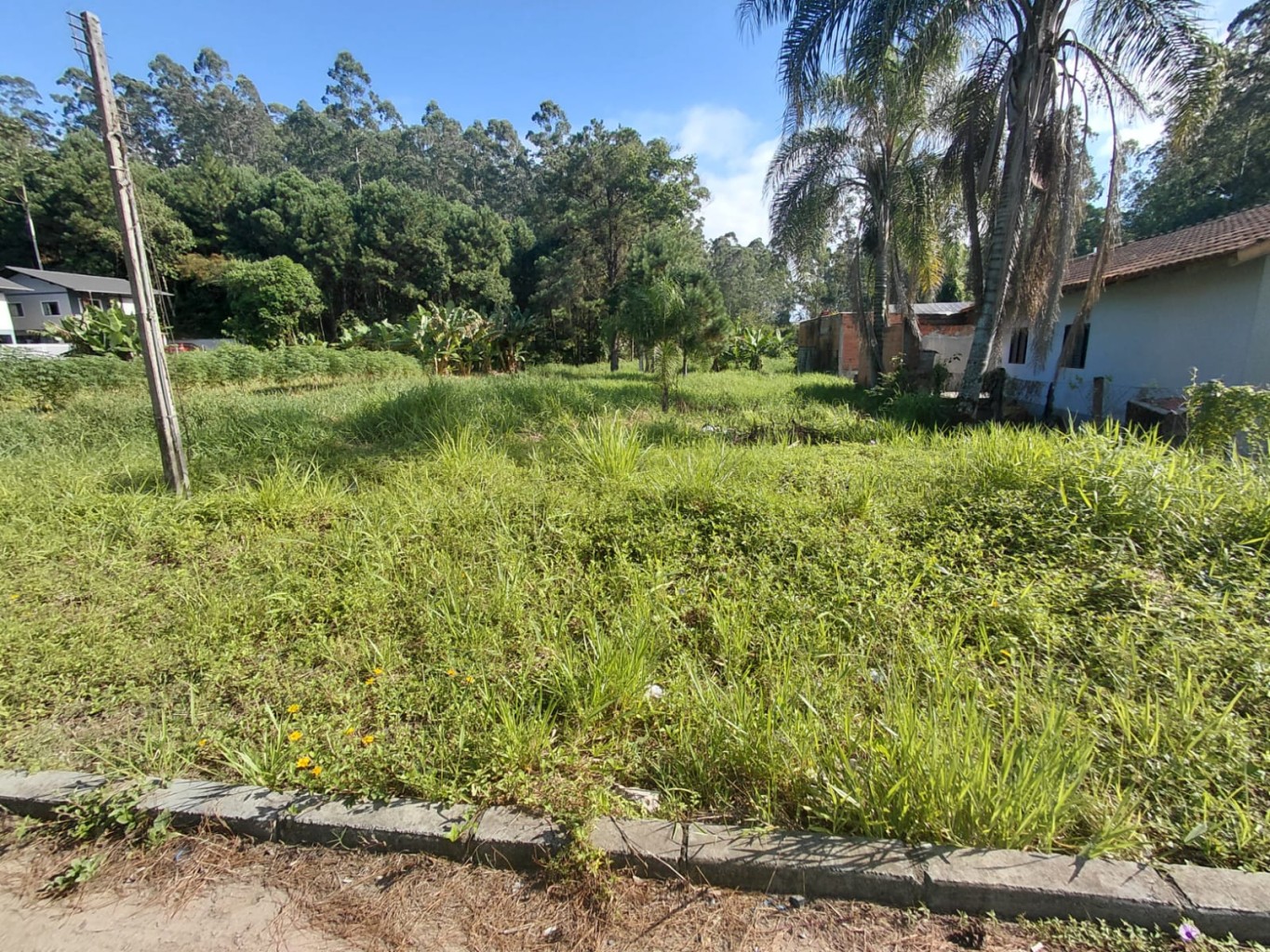 Terreno plano no bairro Araponguinhas em Timbó-SC - foto 1