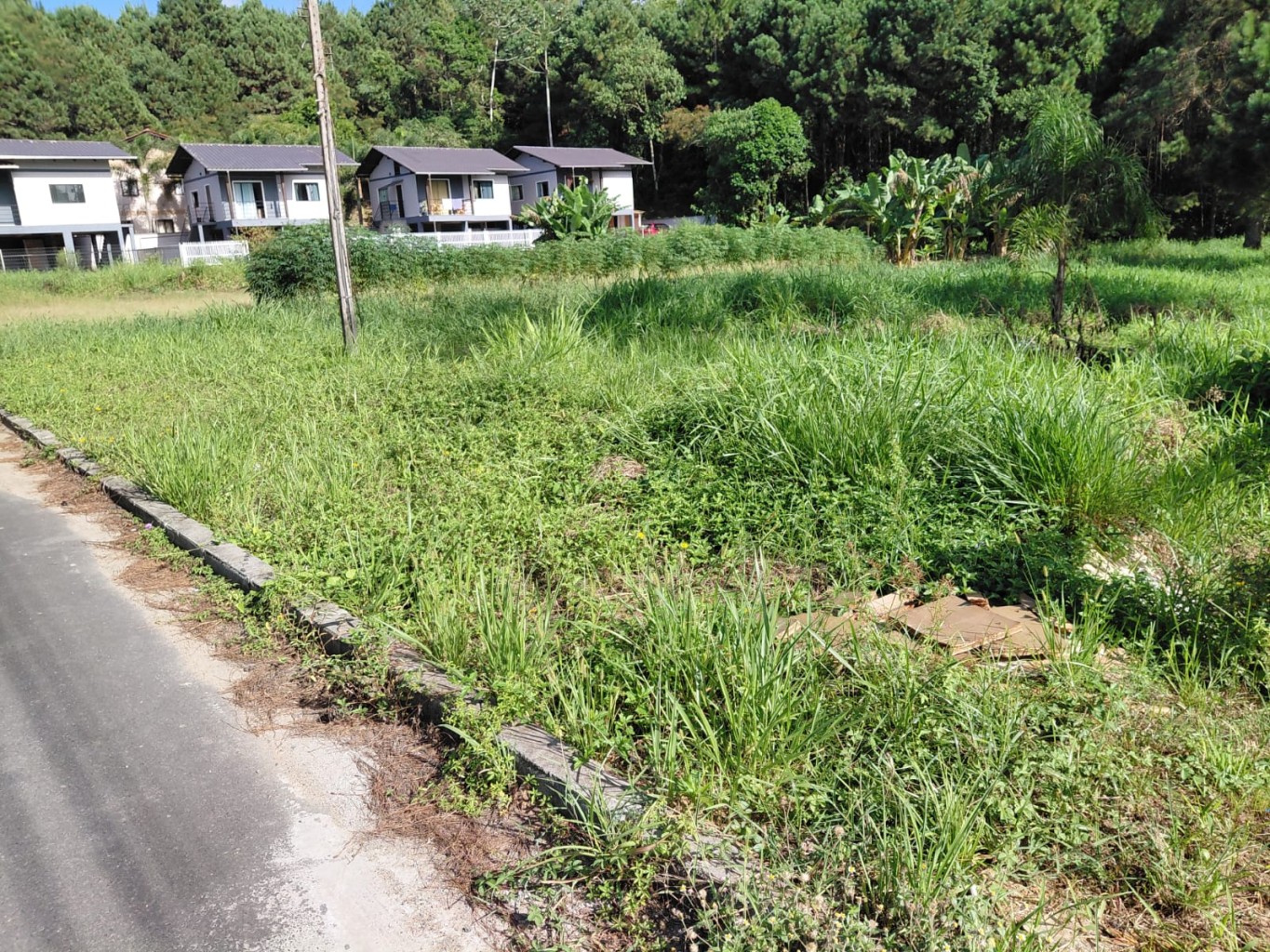 Terreno plano no bairro Araponguinhas em Timbó-SC — foto 2