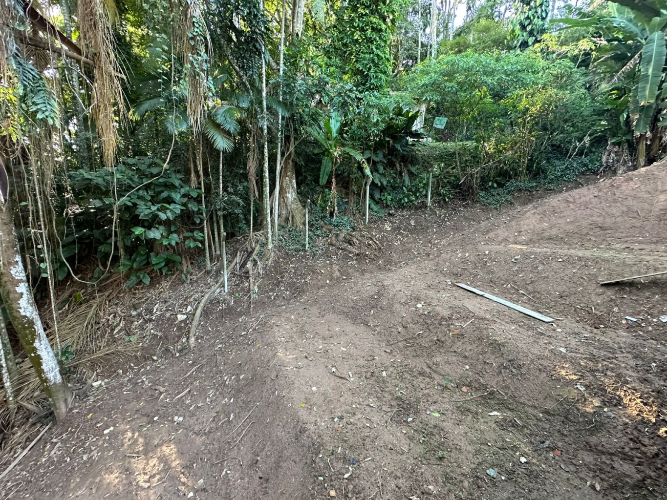 Fundos Área Verde
