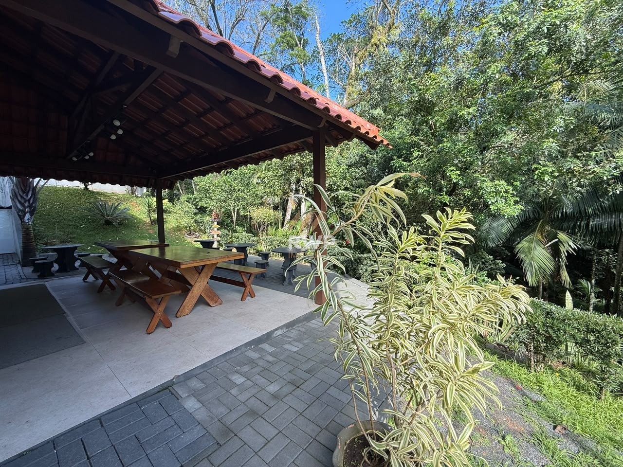 Vista Bosque