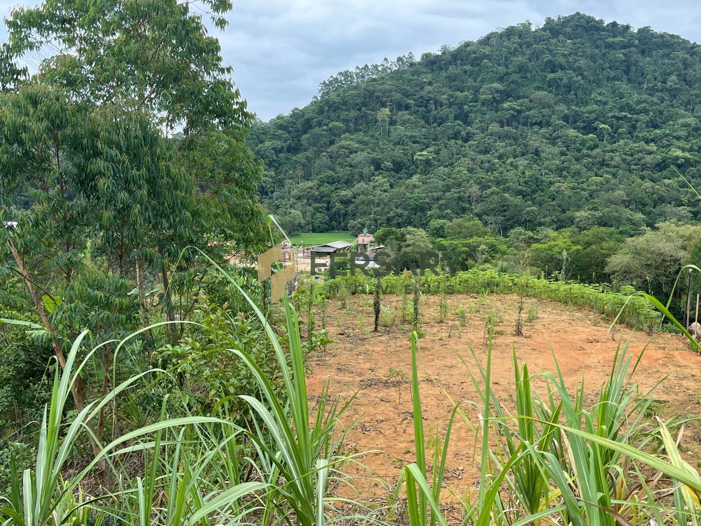 Sítio em Rodeio com Casa Container e 20.500m de terreno! — foto 6