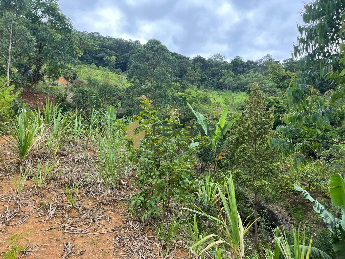 Sítio em Rodeio com Casa Container e 20.500m de terreno! — foto 7