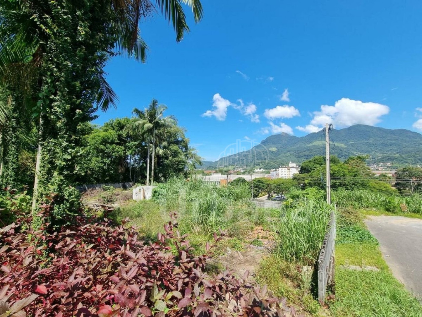 Terreno em Jaraguá do Sul no bairro Vieira próximo a WEG - Urbana Imóveis - Imobiliária em Jaraguá do Sul