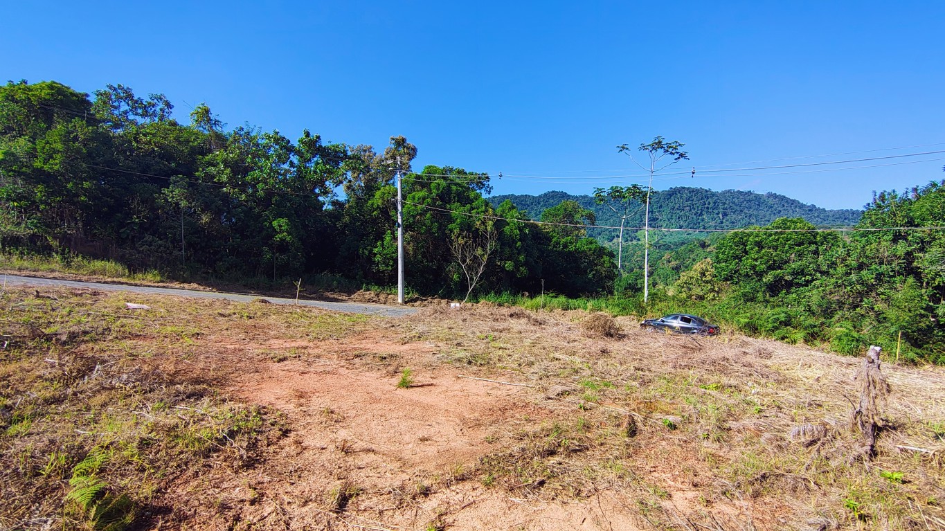 Terreno em Nereu Ramos na cidade de Jaraguá do Sul
