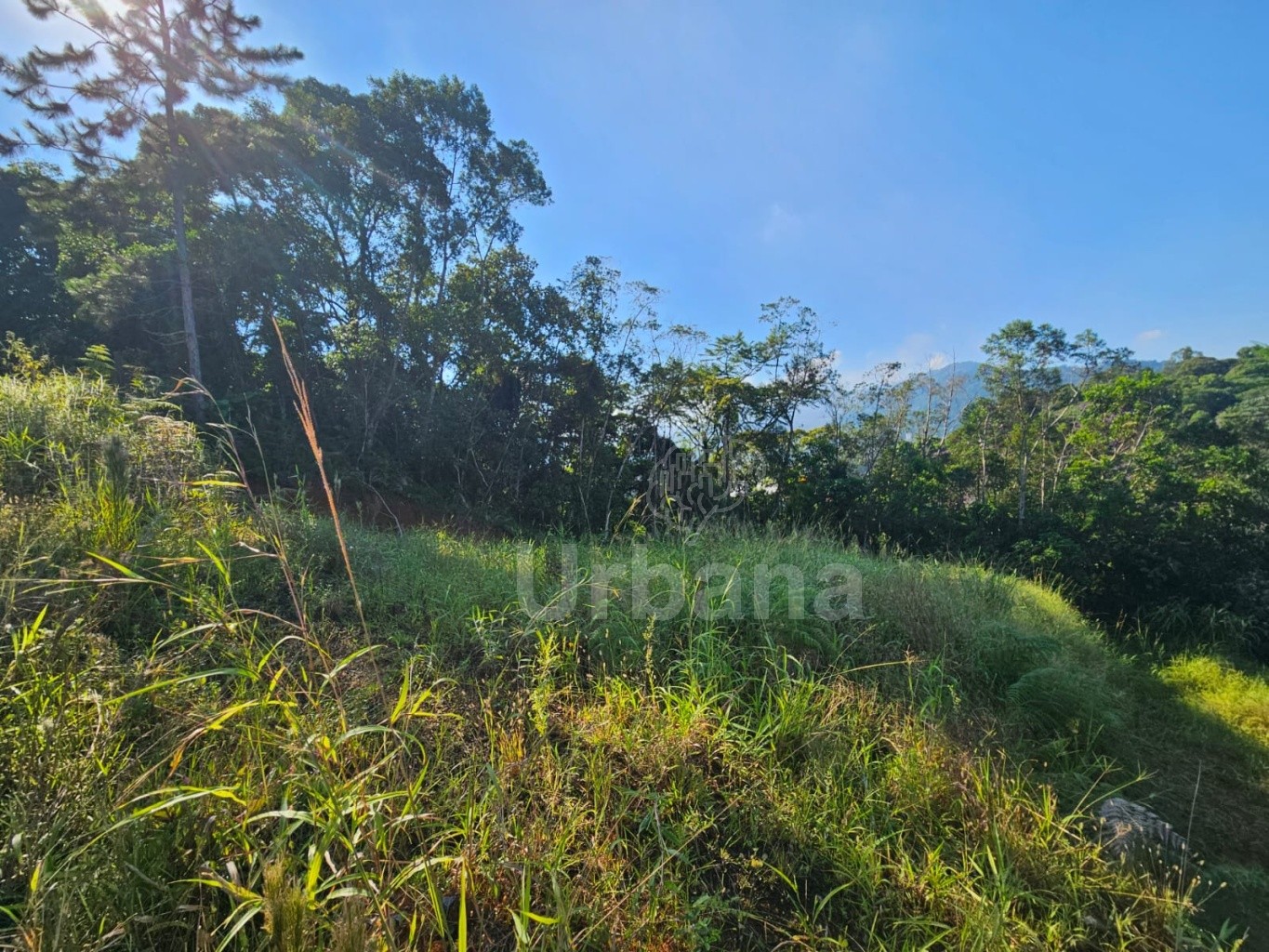 Terreno no bairro Vila Lenzi em Jaraguá do Sul - Urbana Imóveis - Imobiliária em Jaraguá do Sul