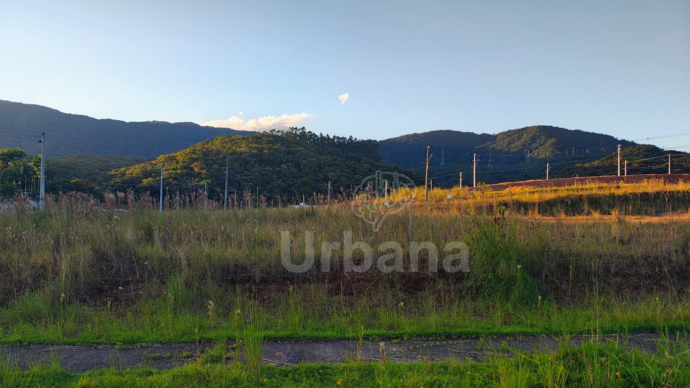 Terreno plano no Loteamento Paineiras II