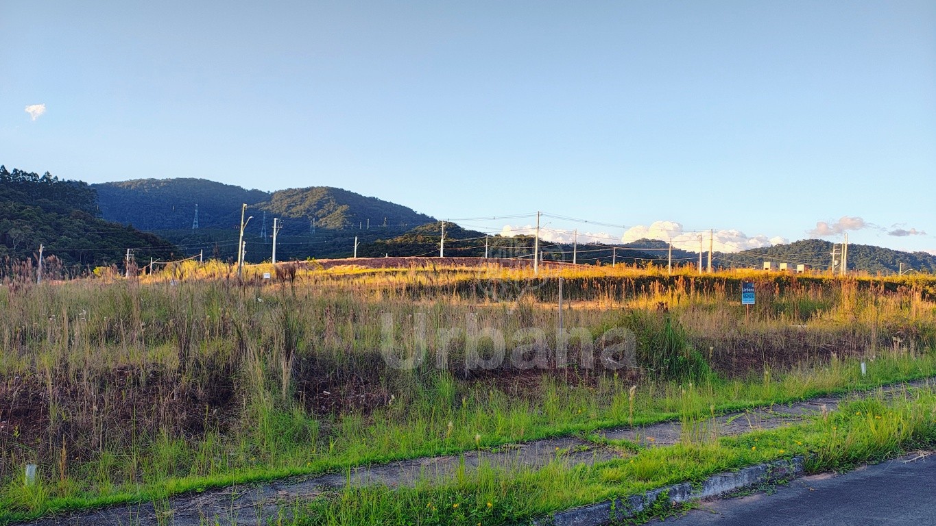Terreno plano no Loteamento Paineiras II