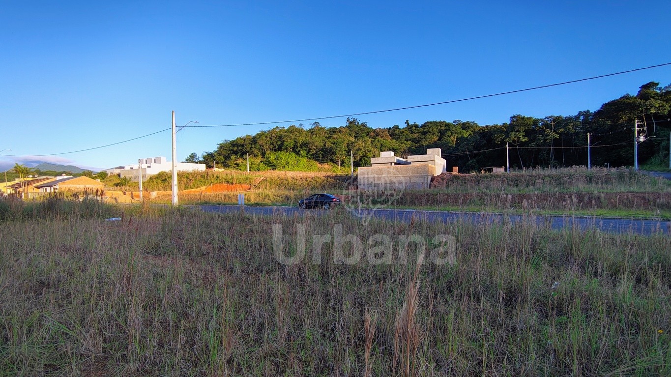Terreno plano no Loteamento Paineiras II