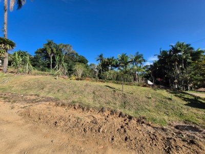 Terreno à venda no bairro Ilha da Figueira em Jaraguá do Sul