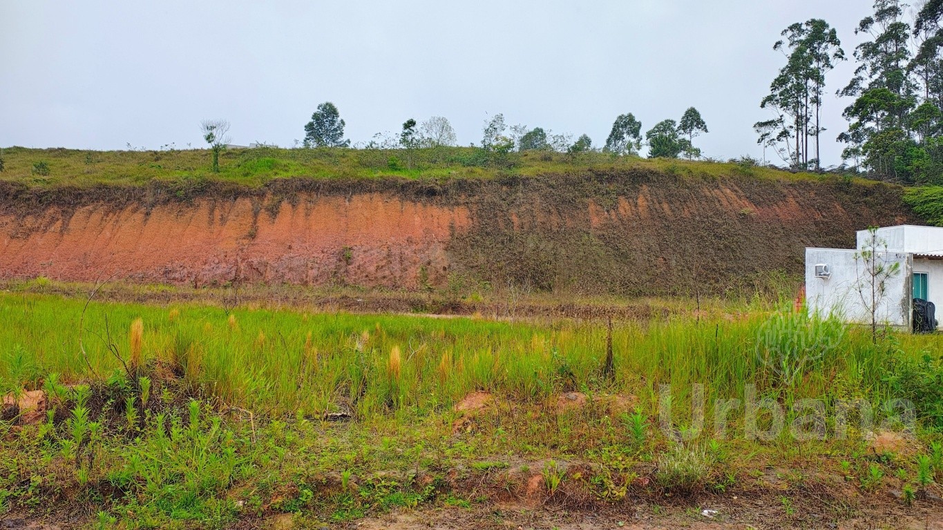 Terreno plano no bairro Campinha em Massaranduba