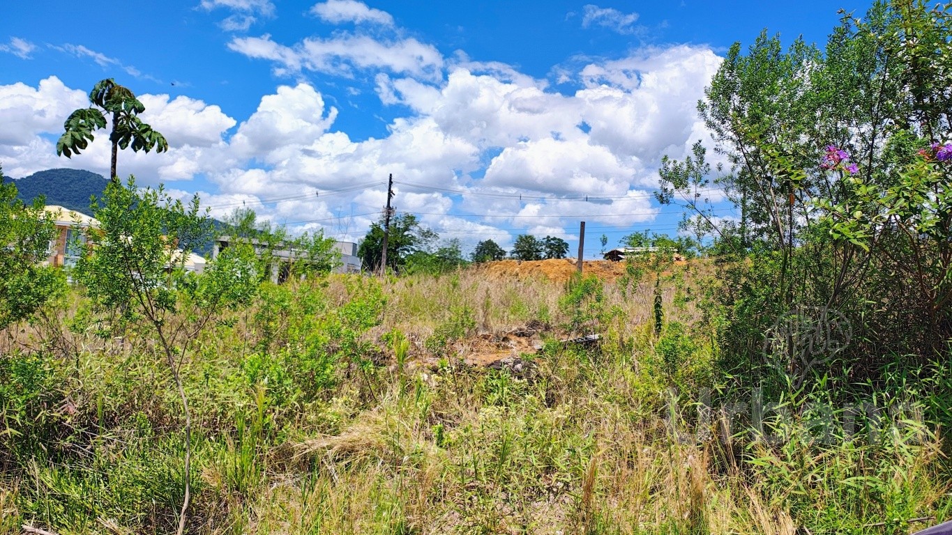 Terreno no Loteamento Viena Class – Jaraguá do Sul | Urbana Imóveis