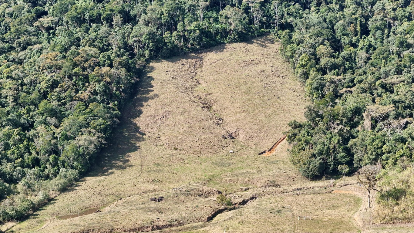 Terreno rural em Massaranduba - Urbana Imóveis