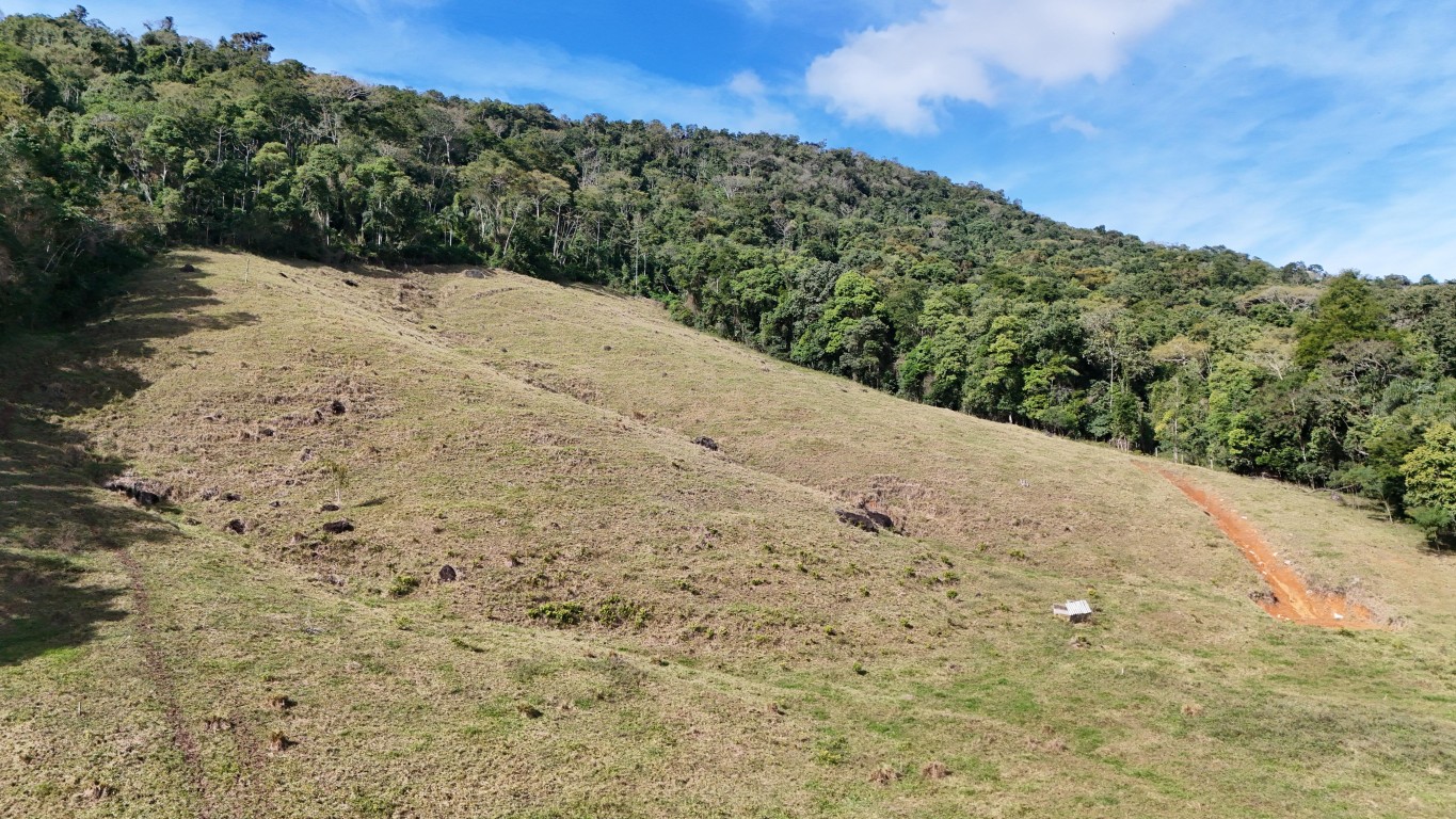 Terreno rural em Massaranduba - Urbana Imóveis