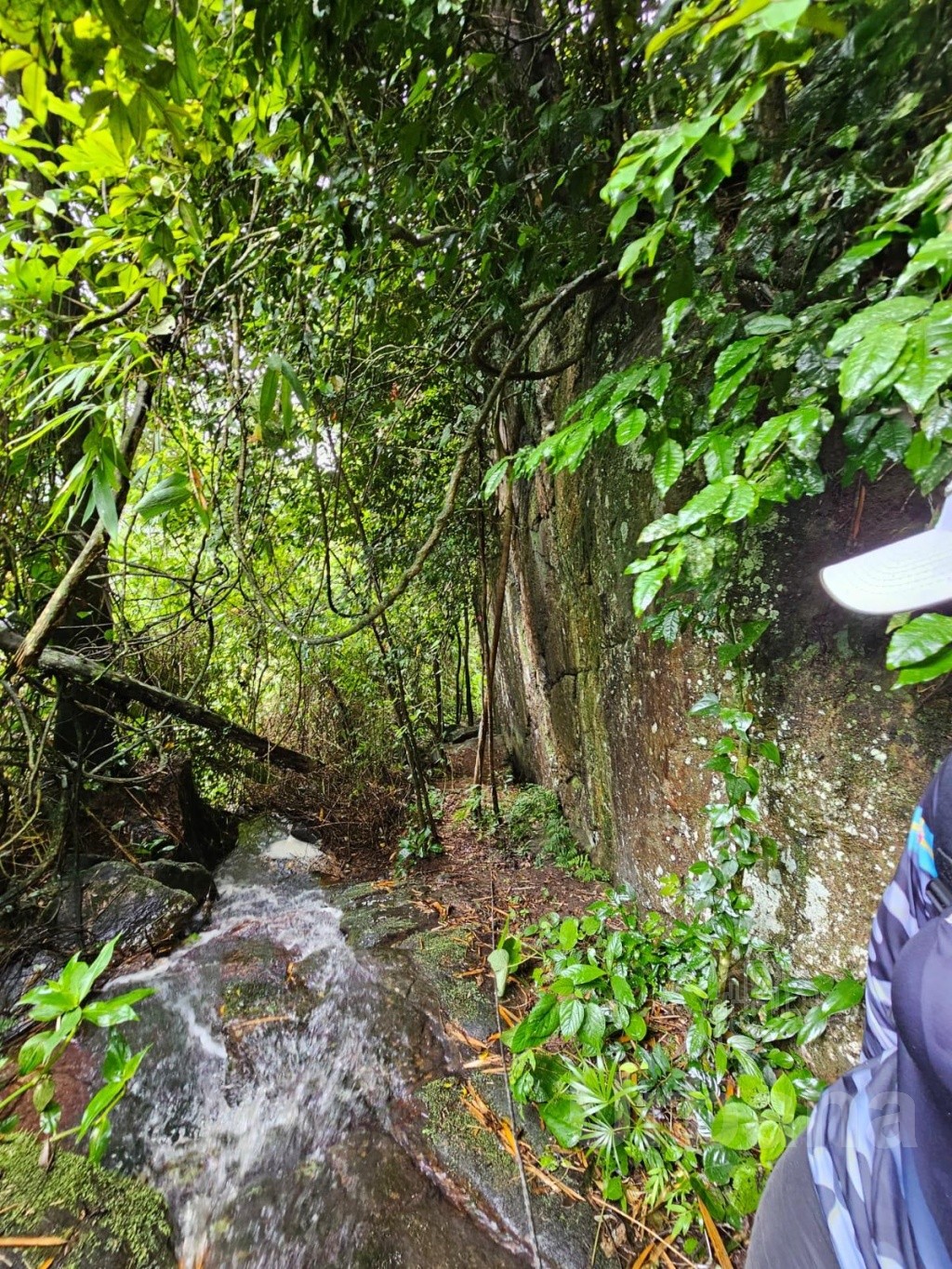 Terreno rural em Massaranduba com casa e lagoas - Urbana Imóveis