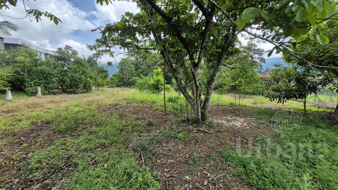 Terreno à venda no Santa Luzia em Jaraguá do Sul — foto 10 | Urbana Imóveis