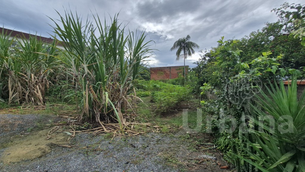 Terreno à venda no São Luís em Jaraguá do Sul — foto 7 | Urbana Imóveis