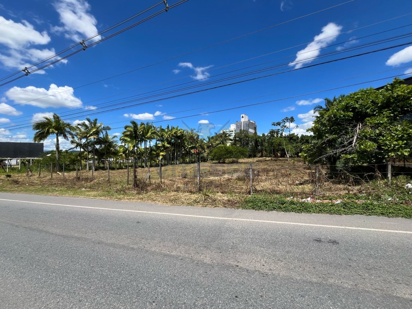 Terreno Comercial de frente para BR 470 - foto 1