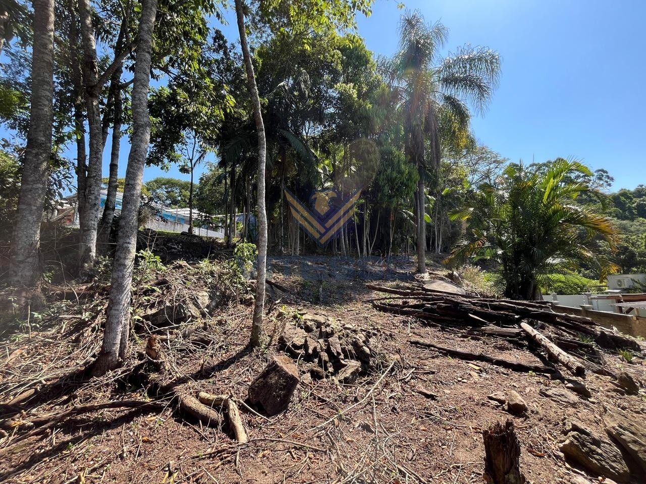 Amplo terreno para sítio — foto 5