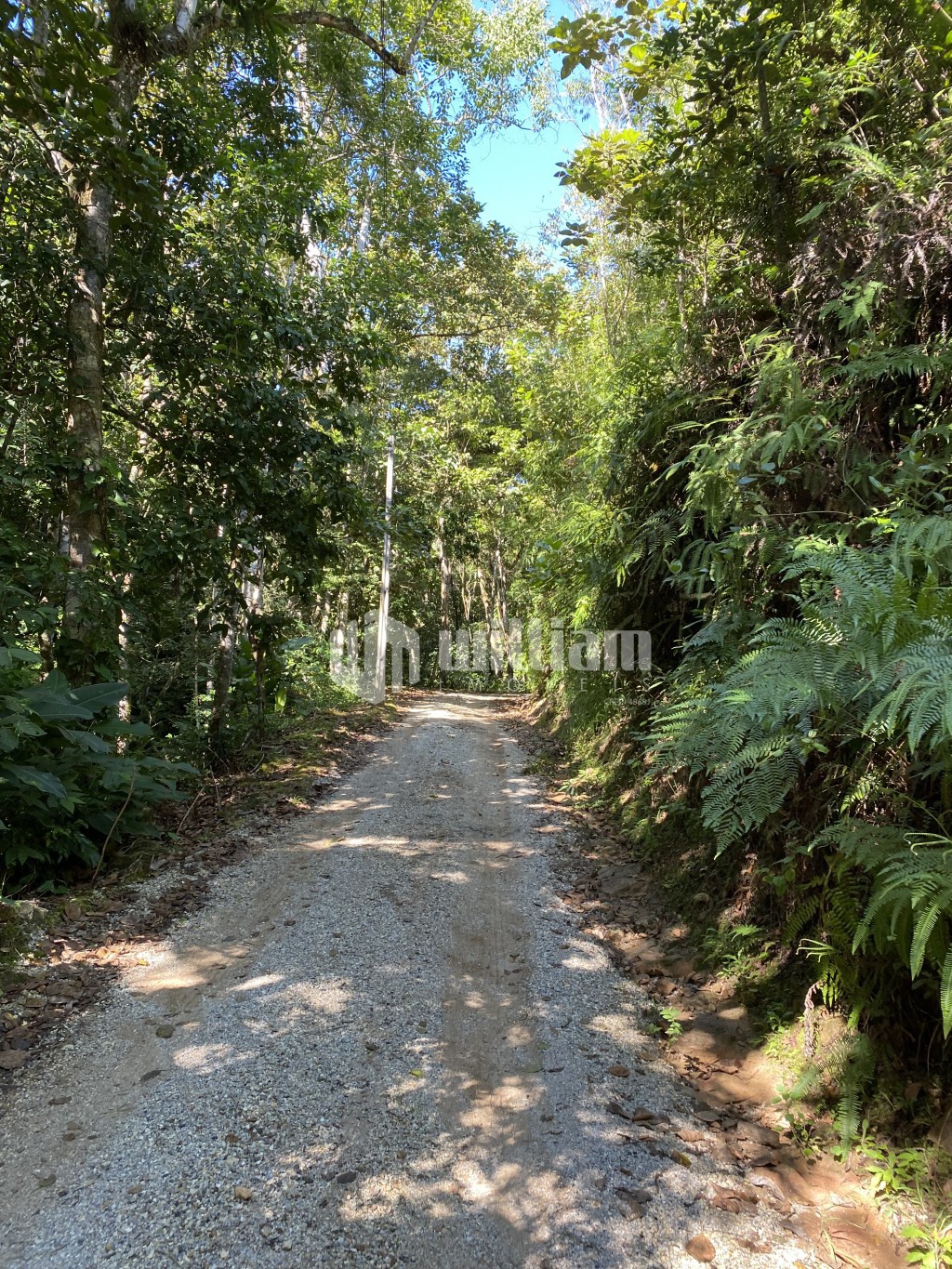 Fazenda/Sítios/Chácaras de no bairro Centro, em Botuverá | Eu Corretor