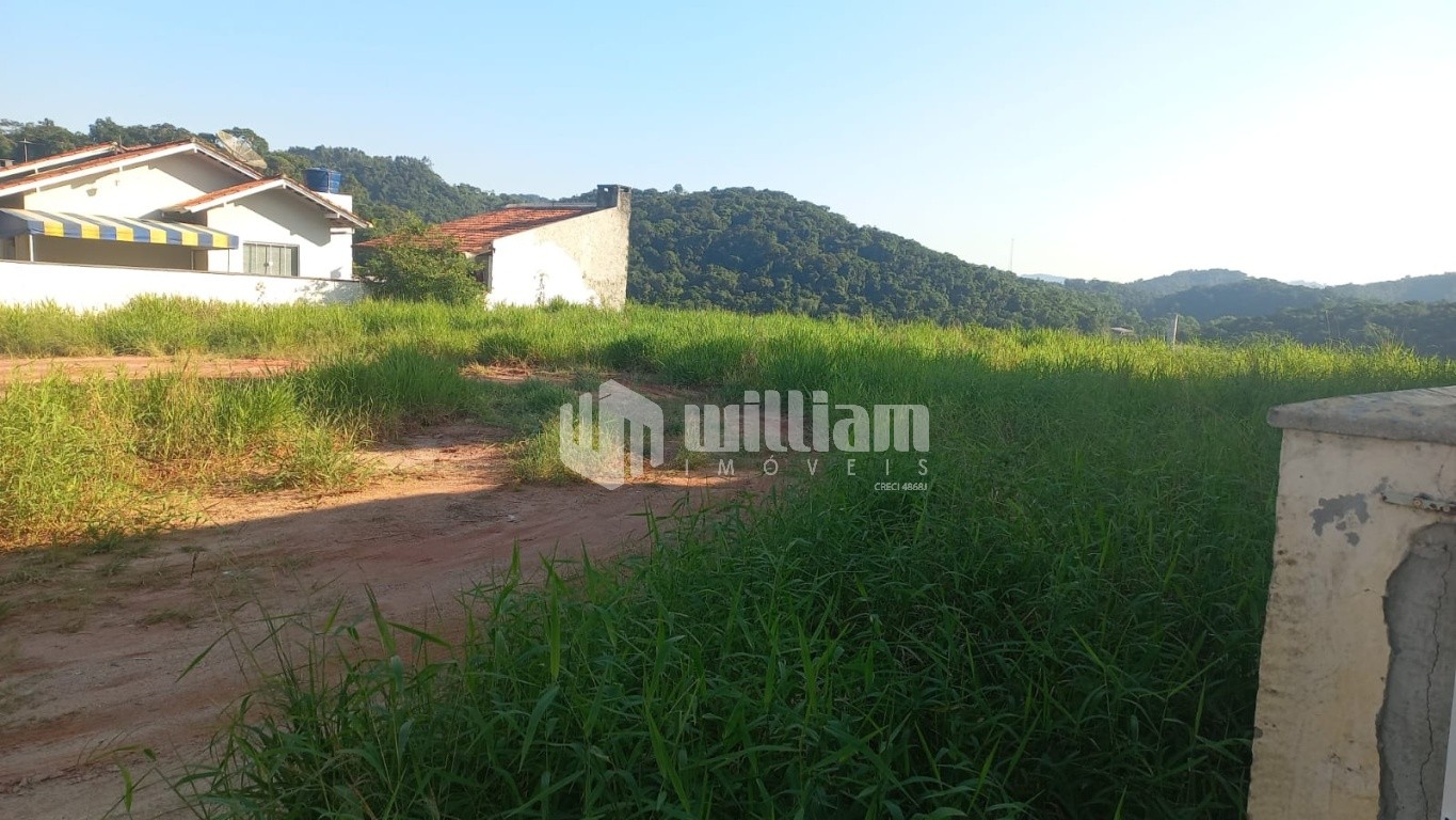 2 TERRENOS NESTAS IMAGENS