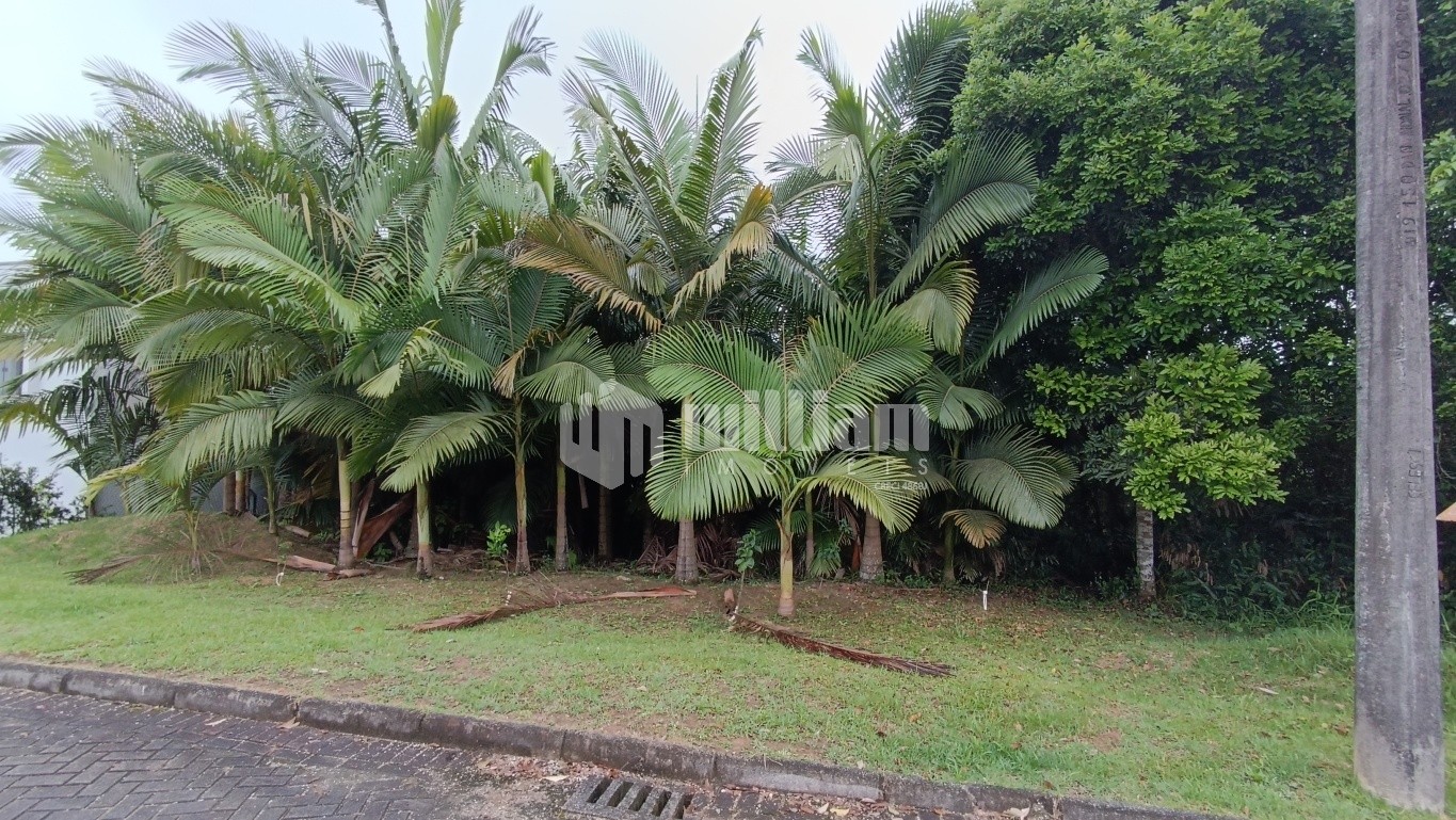 Lote/Terreno de 525m² no bairro Souza Cruz, em Brusque | Eu Corretor