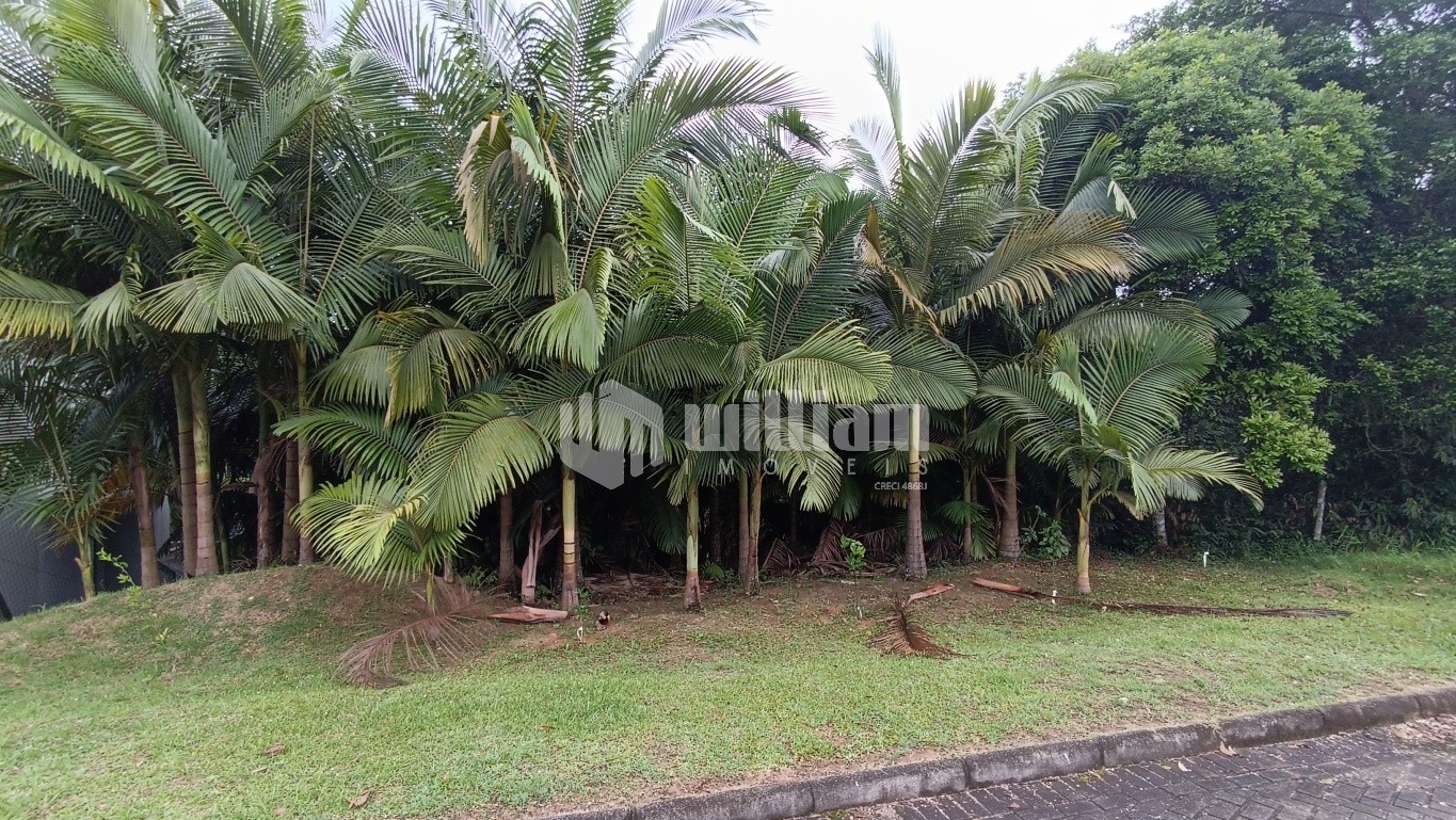 Lote/Terreno de 525m² no bairro Souza Cruz, em Brusque | Eu Corretor