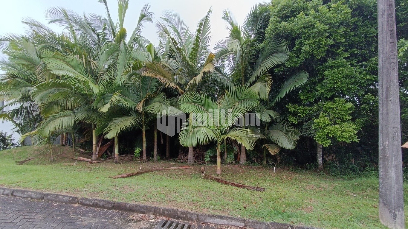 Lote/Terreno de 525m² no bairro Souza Cruz, em Brusque | Eu Corretor