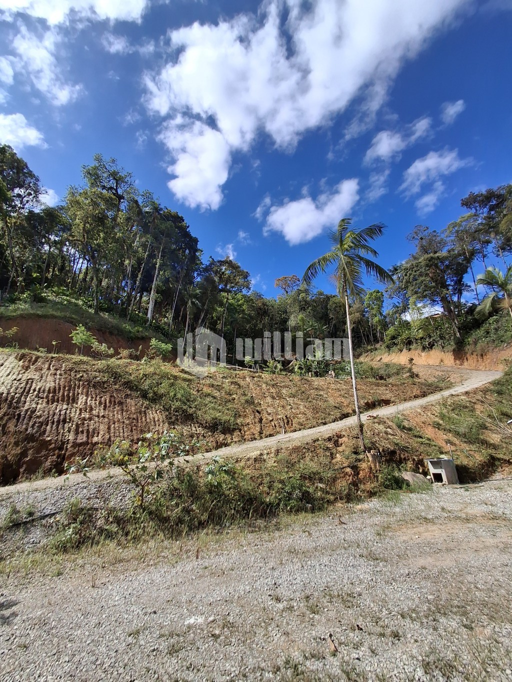 Fazenda/Sítios/Chácaras de 1 quarto, 12000m² no bairro São Pedro, em Brusque | Eu Corretor