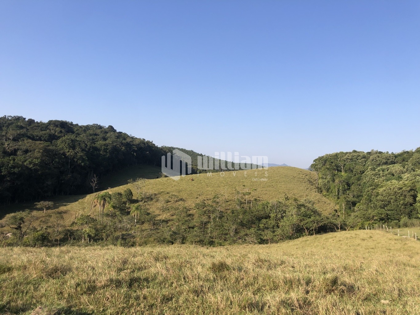 Lote/Terreno de 33400m² no bairro Barracão, em Gaspar | Eu Corretor