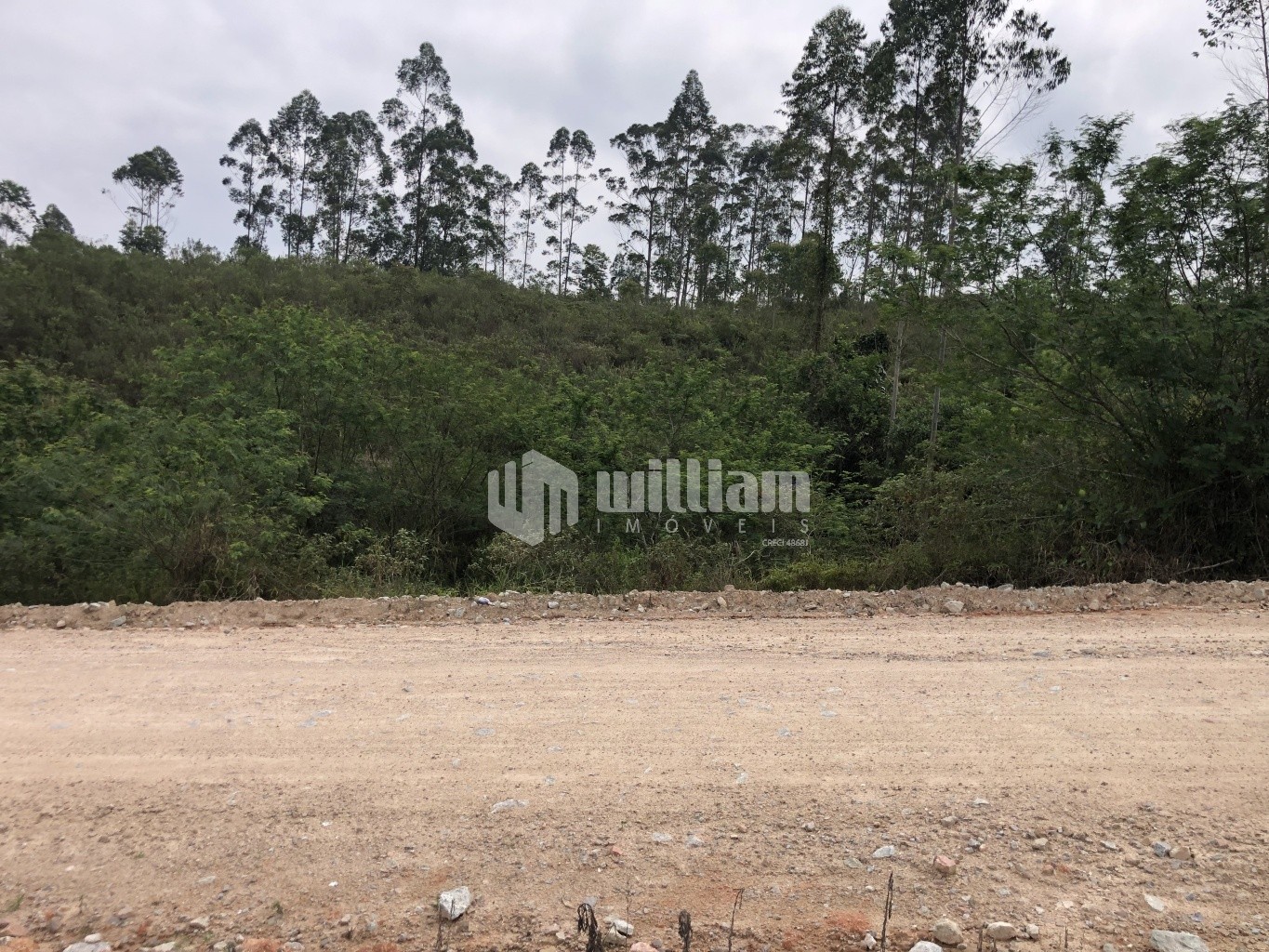 Lote/Terreno de 24000m² no bairro Barracão, em Gaspar | Eu Corretor