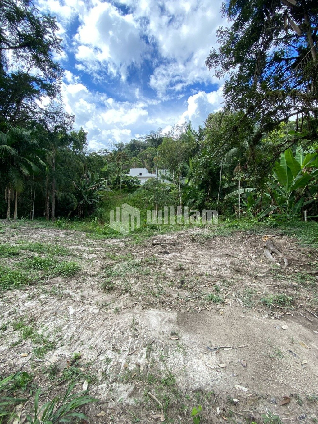 Lote/Terreno de 4771m² no bairro São Pedro, em Guabiruba | Eu Corretor