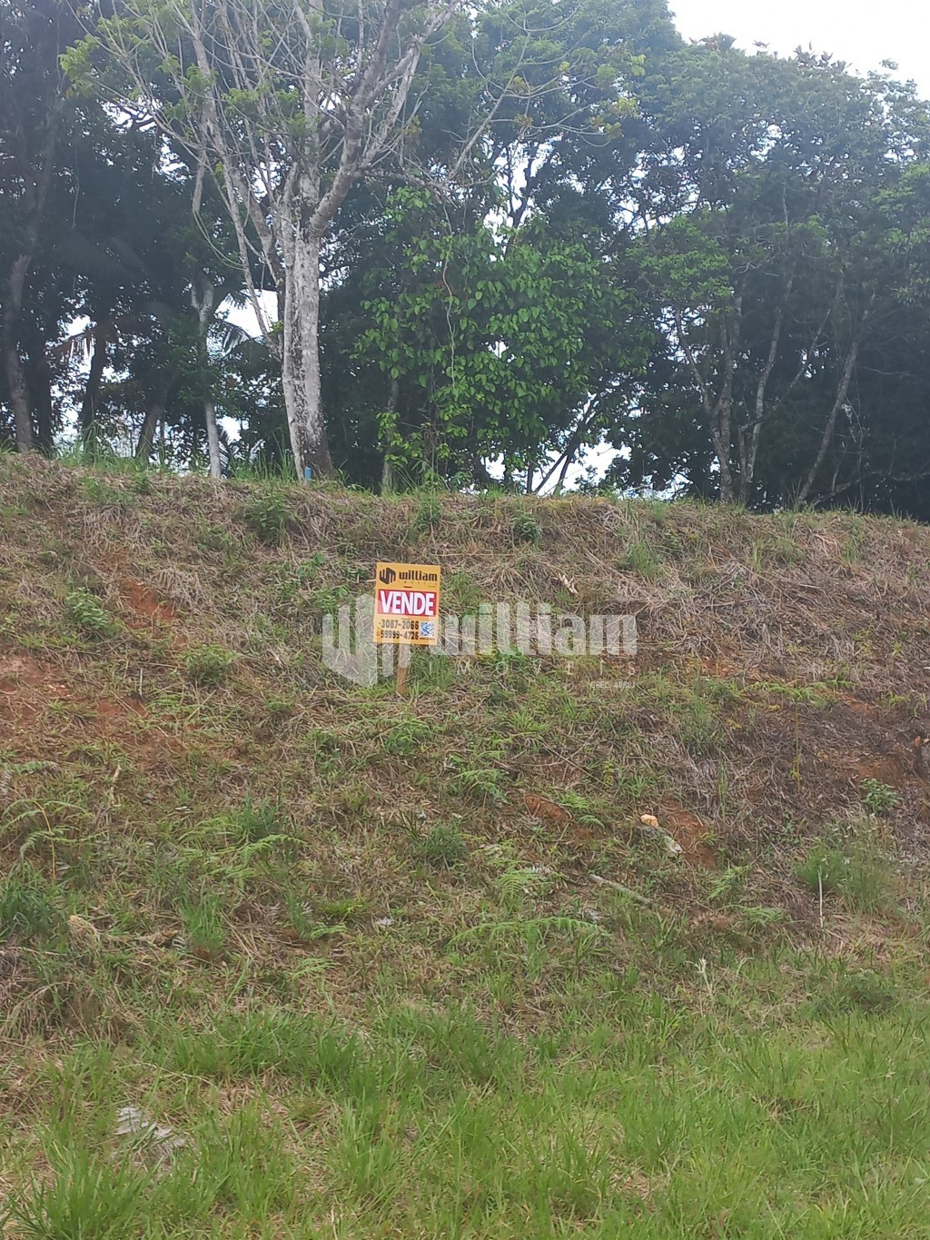Lote/Terreno de 541m² no bairro Nova Brasília, em Brusque | Eu Corretor