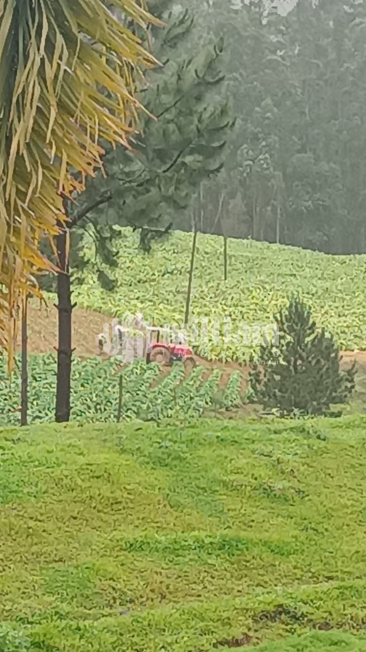 Fazenda/Sítios/Chácaras de 664m² no bairro Fartura, em Vidal Ramos | Eu Corretor