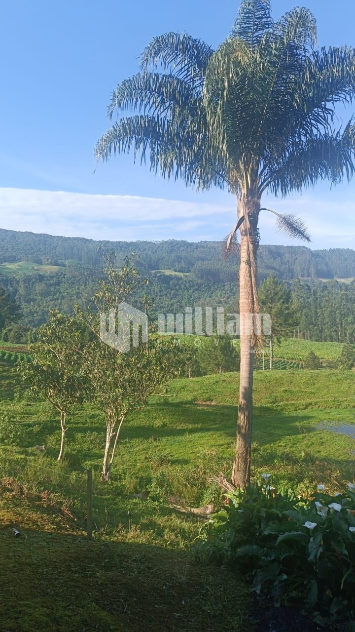 Fazenda/Sítios/Chácaras de 664m² no bairro Fartura, em Vidal Ramos | Eu Corretor